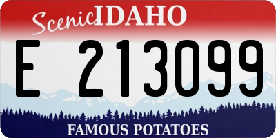 ID license plate E213099