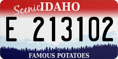 ID license plate E213102