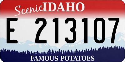 ID license plate E213107