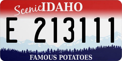 ID license plate E213111