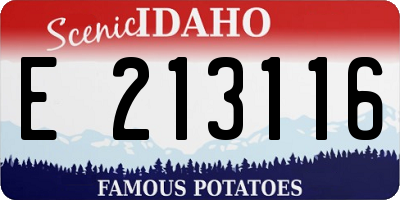 ID license plate E213116