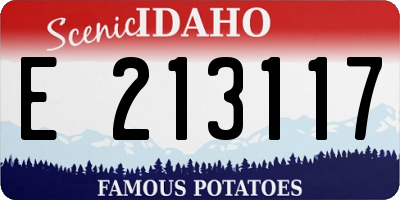 ID license plate E213117