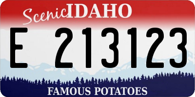 ID license plate E213123