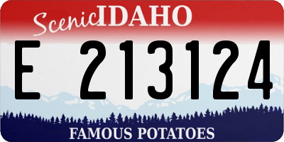 ID license plate E213124