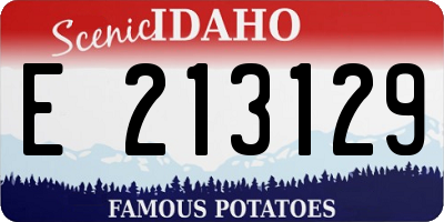 ID license plate E213129