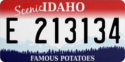 ID license plate E213134