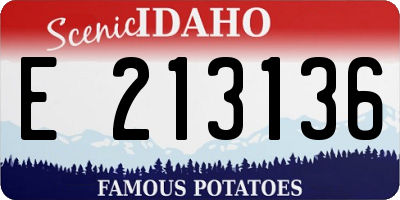 ID license plate E213136