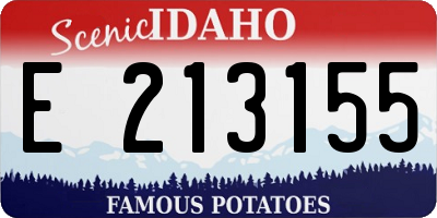 ID license plate E213155