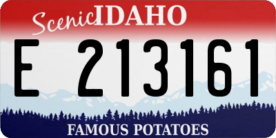 ID license plate E213161
