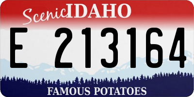 ID license plate E213164