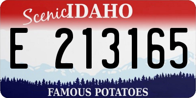 ID license plate E213165