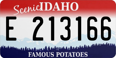 ID license plate E213166