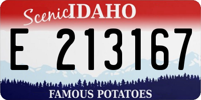 ID license plate E213167