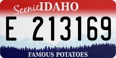 ID license plate E213169