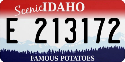 ID license plate E213172