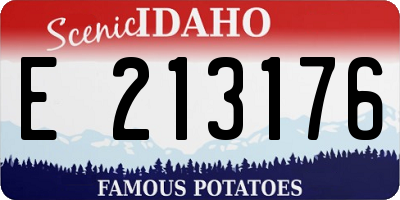 ID license plate E213176