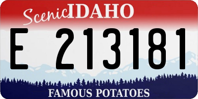 ID license plate E213181