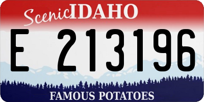 ID license plate E213196