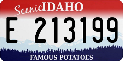 ID license plate E213199