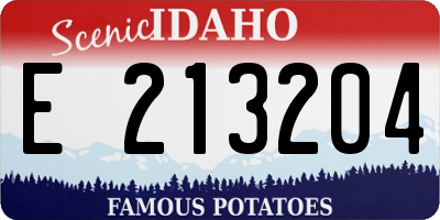 ID license plate E213204
