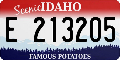 ID license plate E213205