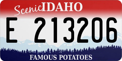 ID license plate E213206
