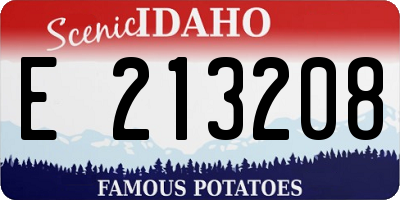 ID license plate E213208