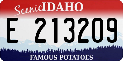ID license plate E213209