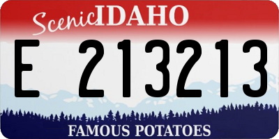 ID license plate E213213