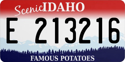 ID license plate E213216