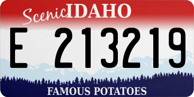 ID license plate E213219