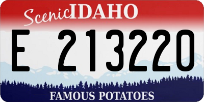 ID license plate E213220
