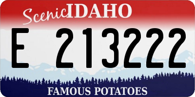 ID license plate E213222