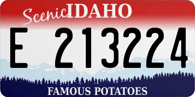 ID license plate E213224