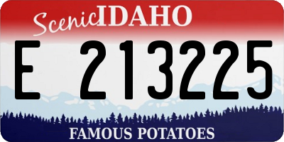 ID license plate E213225