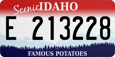 ID license plate E213228