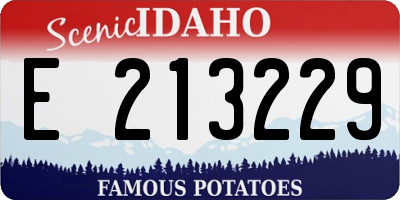 ID license plate E213229