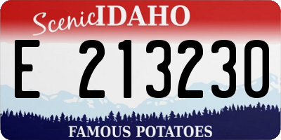ID license plate E213230