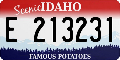 ID license plate E213231