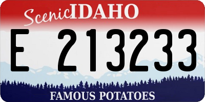 ID license plate E213233