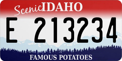 ID license plate E213234