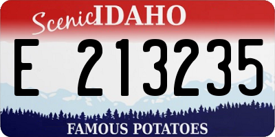 ID license plate E213235