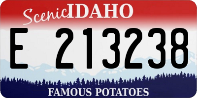 ID license plate E213238