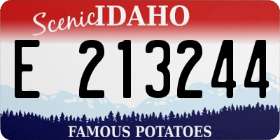 ID license plate E213244