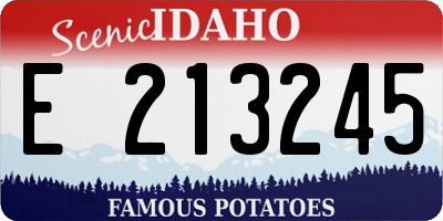 ID license plate E213245