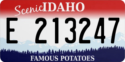 ID license plate E213247