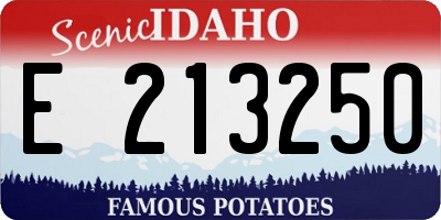 ID license plate E213250