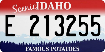 ID license plate E213255