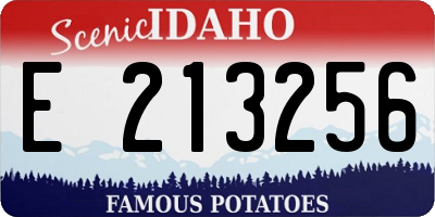 ID license plate E213256