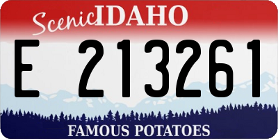 ID license plate E213261